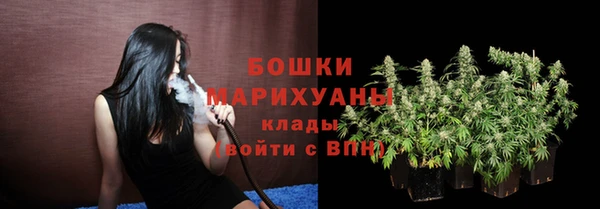 PSILOCYBIN Верхний Тагил