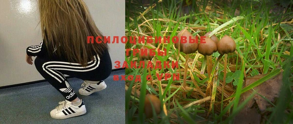 jwh Сафоново