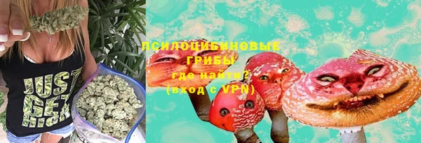 PSILOCYBIN Верхний Тагил