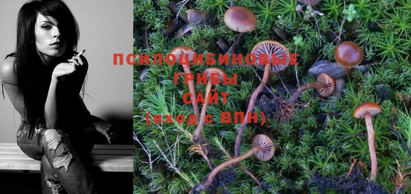 PSILOCYBIN Верхний Тагил